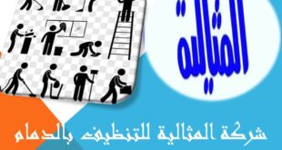 شركة المثالية للتنظيف بالدمام