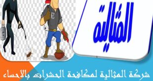 شركة المثالية لمكافحة الحشرات بالاحساء