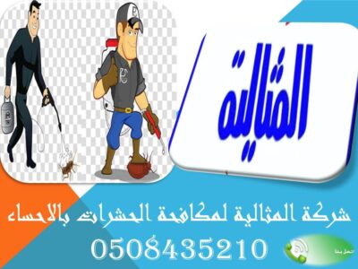 شركة المثالية لمكافحة الحشرات بالاحساء