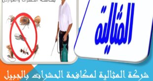 شركة المثالية لمكافحة الحشرات بالجبيل