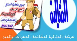 شركة المثالية لمكافحة الحشرات بالخبر