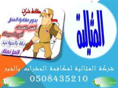 شركة المثالية لمكافحة الحشرات بالخبر