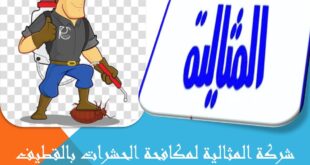 شركة المثالية لمكافحة الحشرات بالقطيف