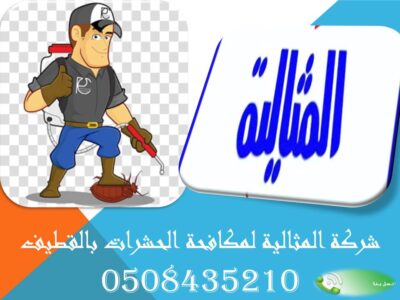 شركة المثالية لمكافحة الحشرات بالقطيف