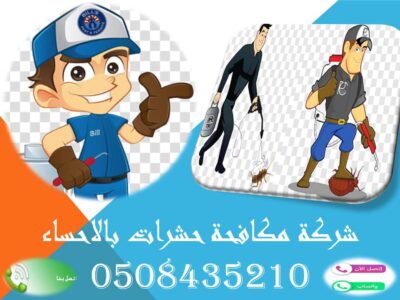 شركة مكافحة حشرات بالاحساء 